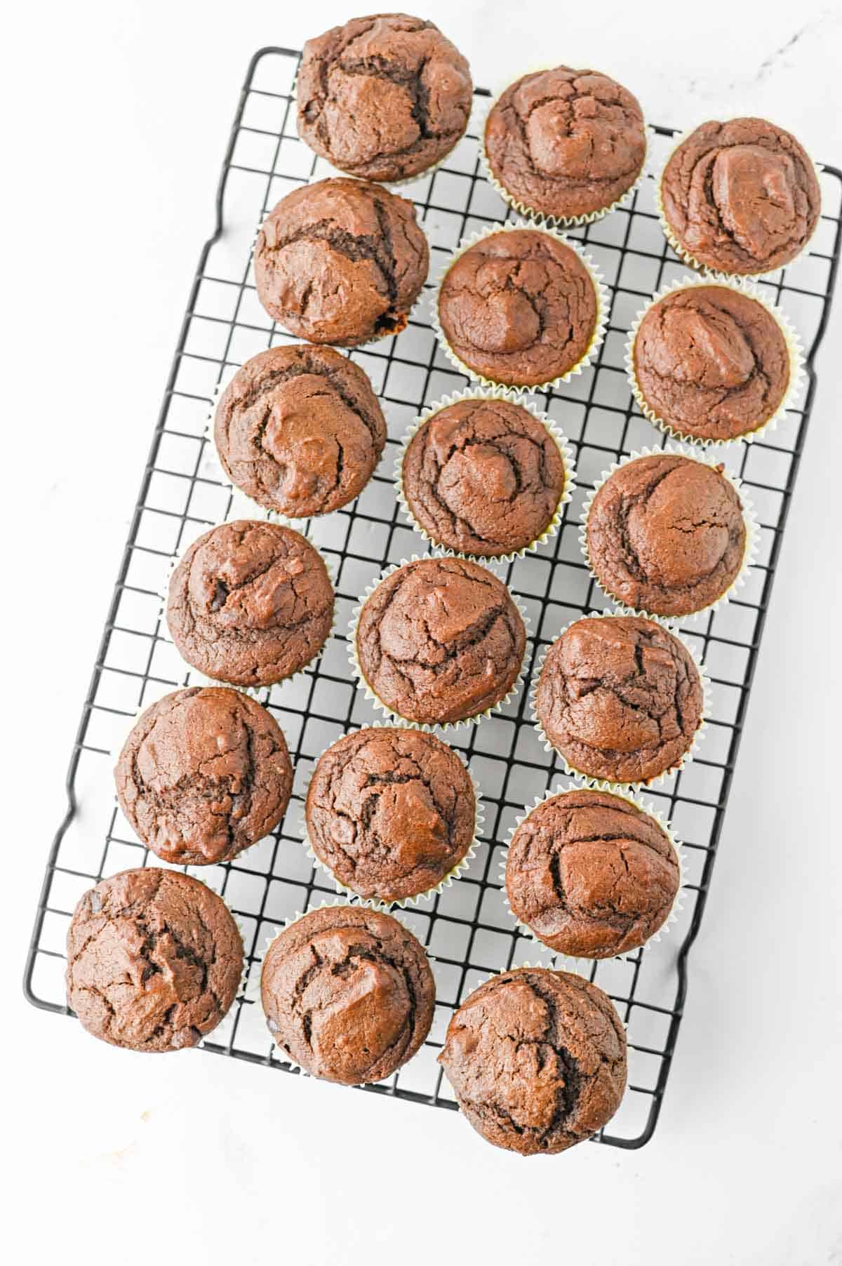 These Pumpkin Chocolate Muffins are the ultimate cozy treat for fall baking! Made with pumpkin puree, cocoa powder, sour cream, and plenty of semi sweet chocolate chips, these moist Pumpkin Chocolate Chip Muffins are rich, fluffy, and loaded with chocolate in every bite. If you love Easy Pumpkin Recipes, Chocolate Pumpkin Muffins, Pumpkin Recipes Dessert ideas, and homemade Fall Muffins, this recipe belongs on your baking list. They're perfect for breakfast, dessert, lunchboxes, after-school snacks, or Thanksgiving morning. Add these easy Pumpkin Muffins to your favorite Fall Baking Recipes, Pumpkin Chocolate Recipes, Fall Dessert Ideas, and Pumpkin Baking Ideas. These moist Chocolate Chip Pumpkin Muffins are simple to make and ready in under 40 minutes for an easy autumn treat the whole family will love!