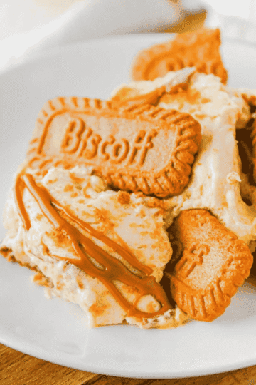 This Biscoff Banana Pudding is an easy no bake dessert layered with creamy vanilla pudding, sweet bananas, Biscoff cookies and rich cookie butter. It is perfect for potlucks, holidays, summer parties, family dinners or anytime you need a make ahead dessert that feels extra special. The pudding mixture is made with sweetened condensed milk, instant vanilla pudding, Cool Whip and melted Biscoff cookie butter for a thick, fluffy filling with caramelized cookie flavor in every bite. Layers of sliced bananas and Lotus Biscoff cookies soften in the fridge for the best banana pudding texture. Top with crushed cookies and an extra cookie butter drizzle for a simple dessert recipe everyone will ask for again. Save this Biscoff dessert for your next easy banana pudding craving.