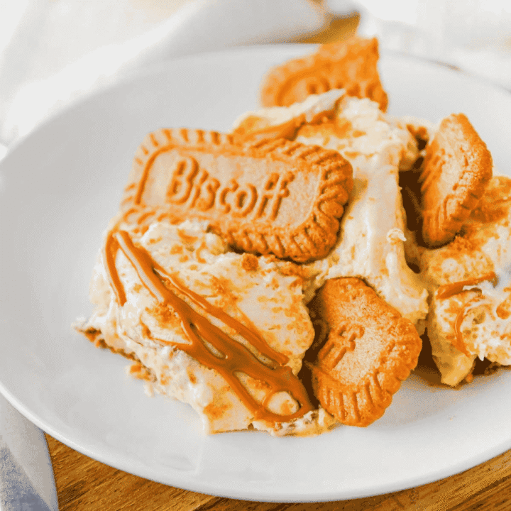This Biscoff Banana Pudding is an easy no bake dessert layered with creamy vanilla pudding, sweet bananas, Biscoff cookies and rich cookie butter. It is perfect for potlucks, holidays, summer parties, family dinners or anytime you need a make ahead dessert that feels extra special. The pudding mixture is made with sweetened condensed milk, instant vanilla pudding, Cool Whip and melted Biscoff cookie butter for a thick, fluffy filling with caramelized cookie flavor in every bite. Layers of sliced bananas and Lotus Biscoff cookies soften in the fridge for the best banana pudding texture. Top with crushed cookies and an extra cookie butter drizzle for a simple dessert recipe everyone will ask for again. Save this Biscoff dessert for your next easy banana pudding craving.