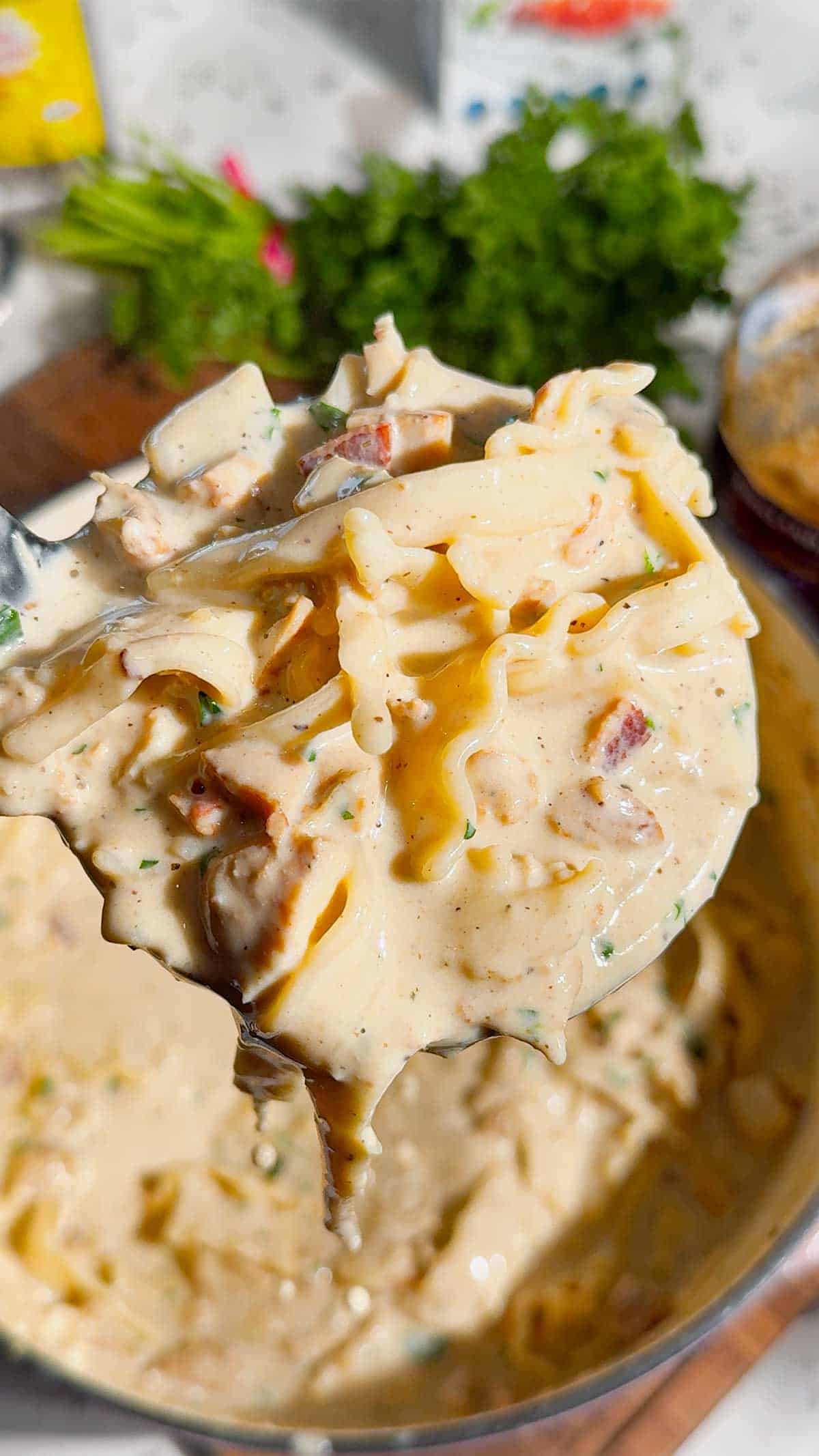 large ladle of chicken alfredo lasagna soup