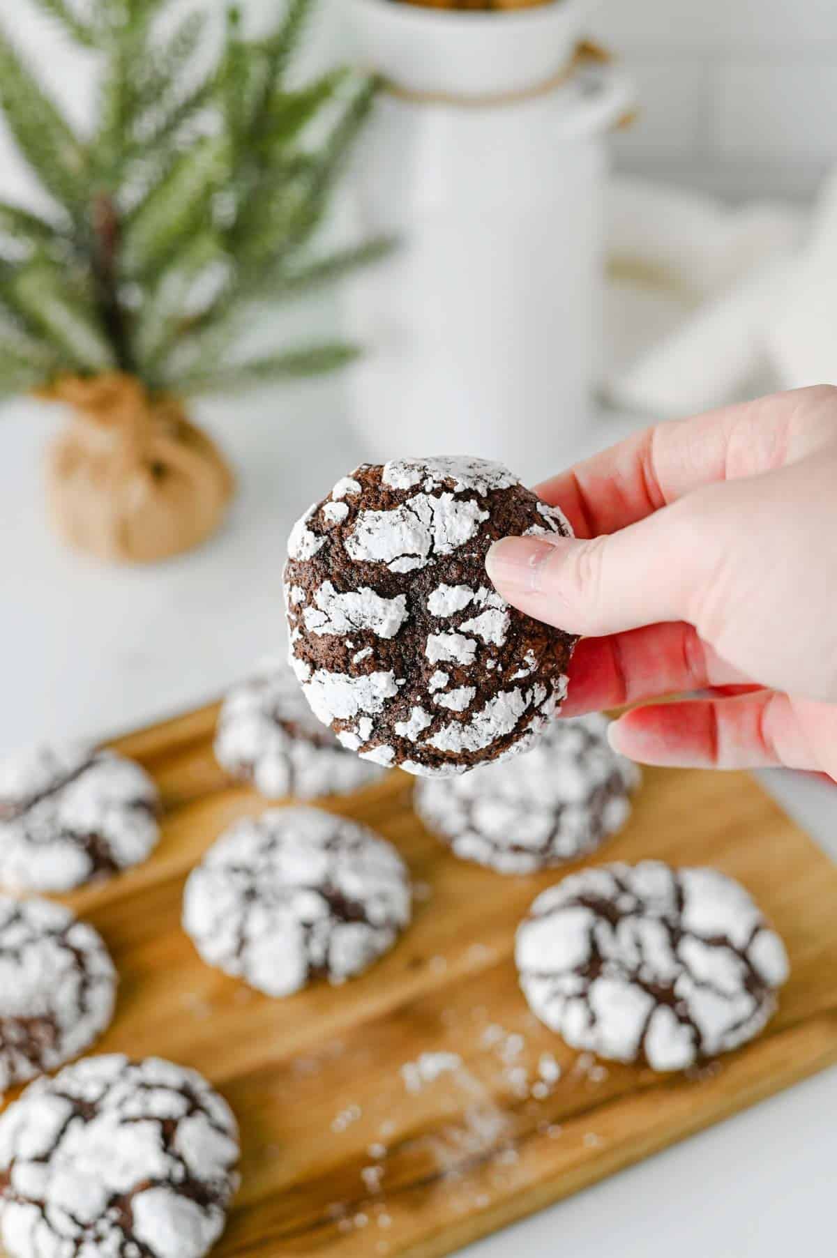 hand holding a chocolate crinkle cookie