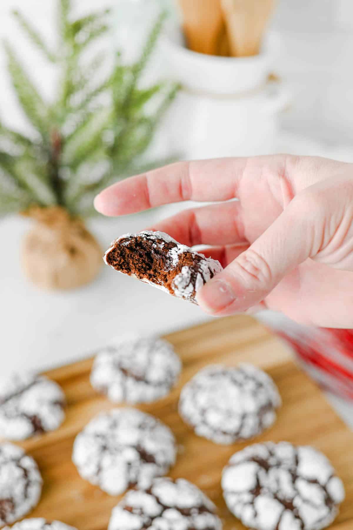 chocolate crinkle cookie with a bite taken out of it