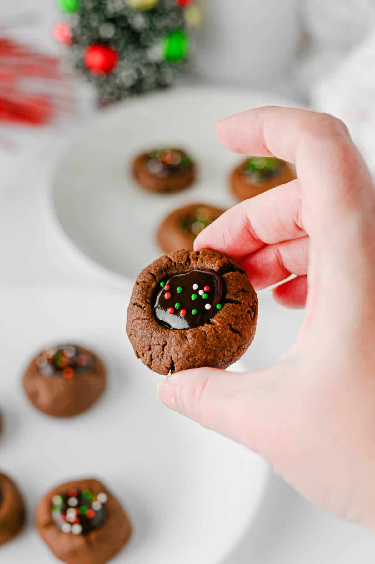 hand holding a chocolate thumbprint cookie