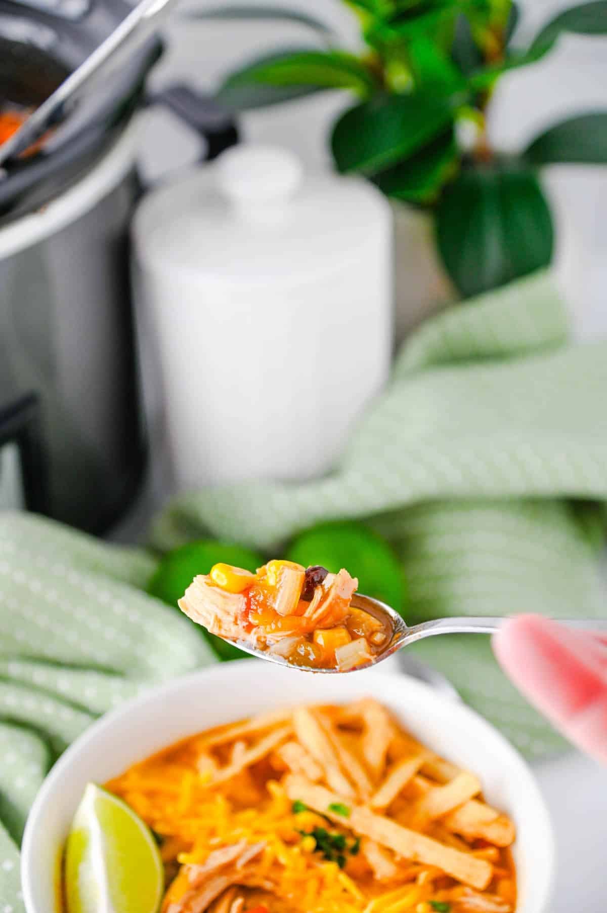 spoonful of chicken enchilada soup