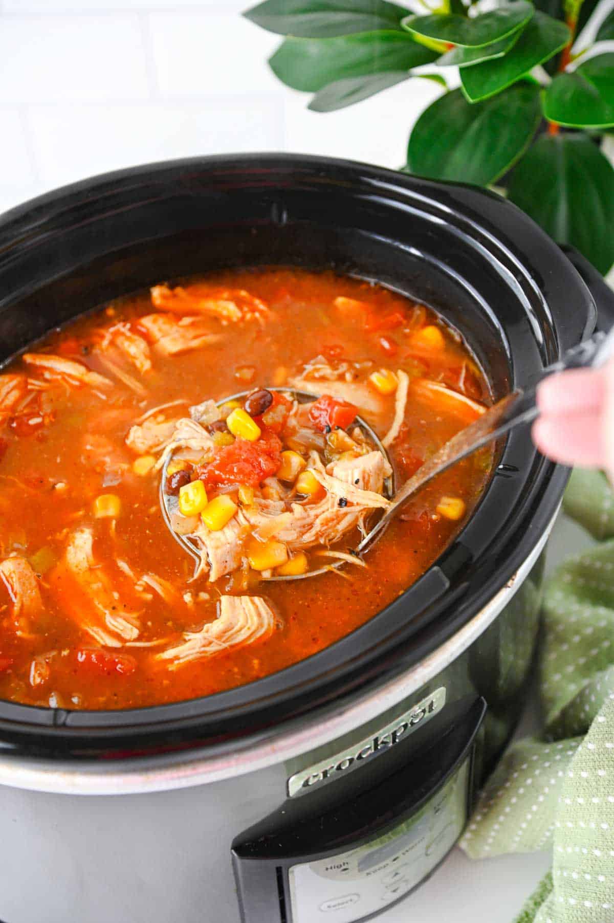 ladleful of chicken enchilada soup