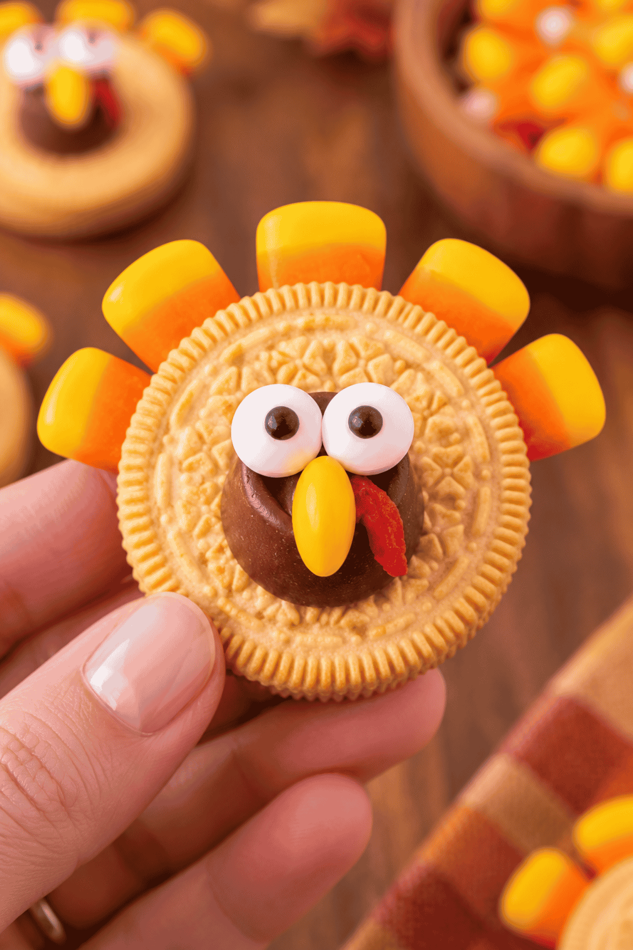 turkey cookie close up
