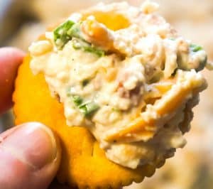 Bacon Cheddar Chicken Salad Dip is an easy party dip for serving with crackers. This cold dip is loaded with flakes of chicken, real bacon bits and cheddar cheese.