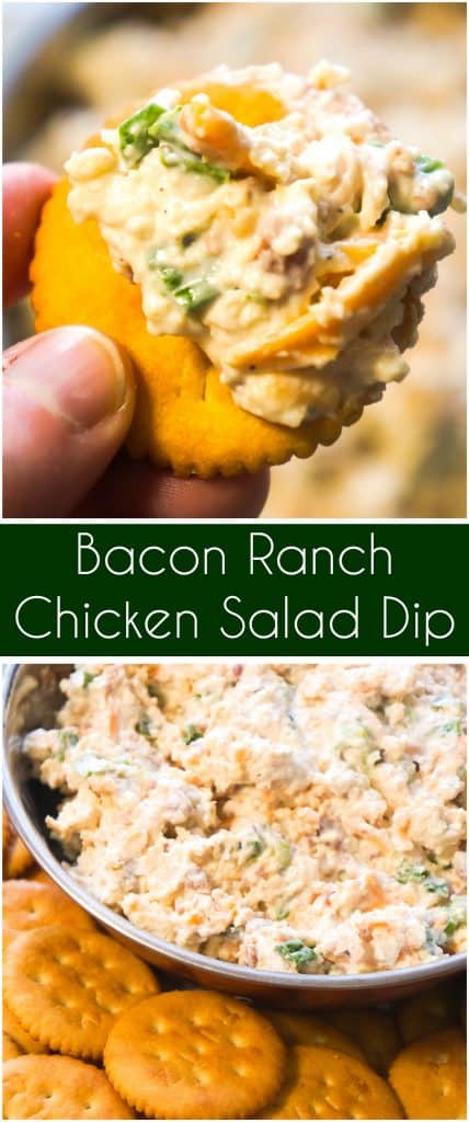 Bacon Cheddar Chicken Salad Dip is an easy party dip for serving with crackers. This cold dip is loaded with flakes of chicken, real bacon bits and cheddar cheese.