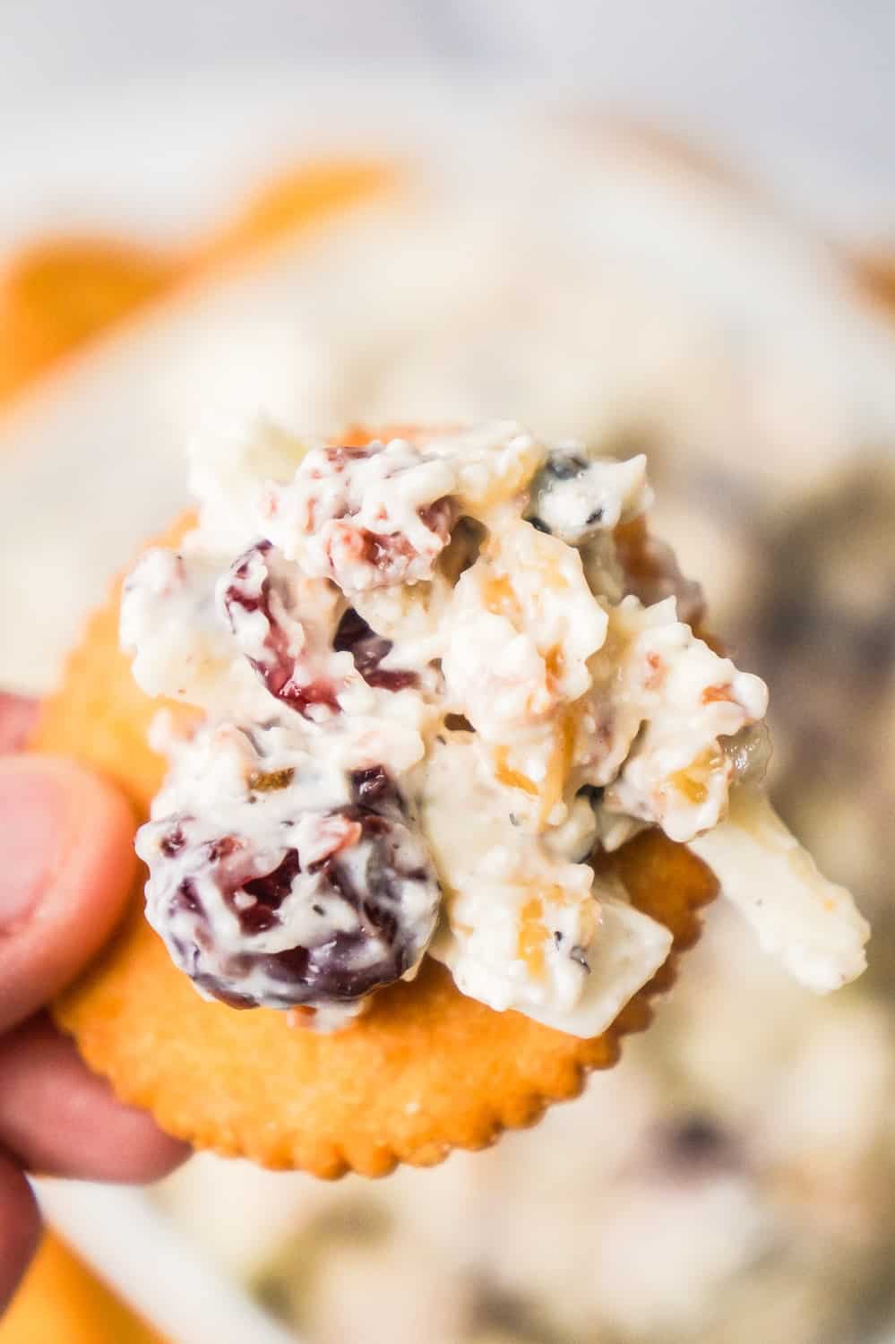 Bacon Cranberry Walnut Dip is an easy cold dip recipe perfect for serving with crackers. This cold party dip is loaded with bacon, Swiss cheese, dried cranberries and chopped walnuts.