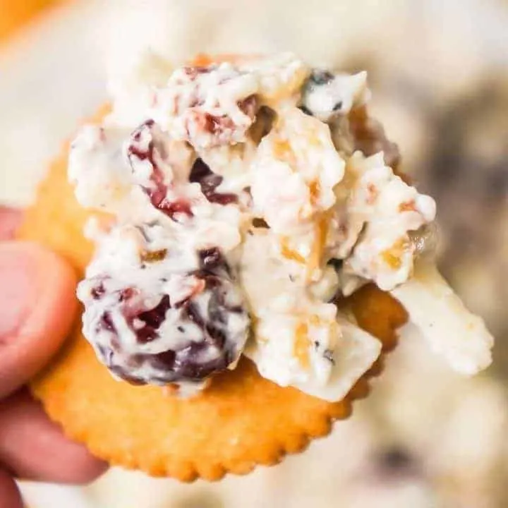 Bacon Cranberry Walnut Dip THIS IS NOT DIET FOOD