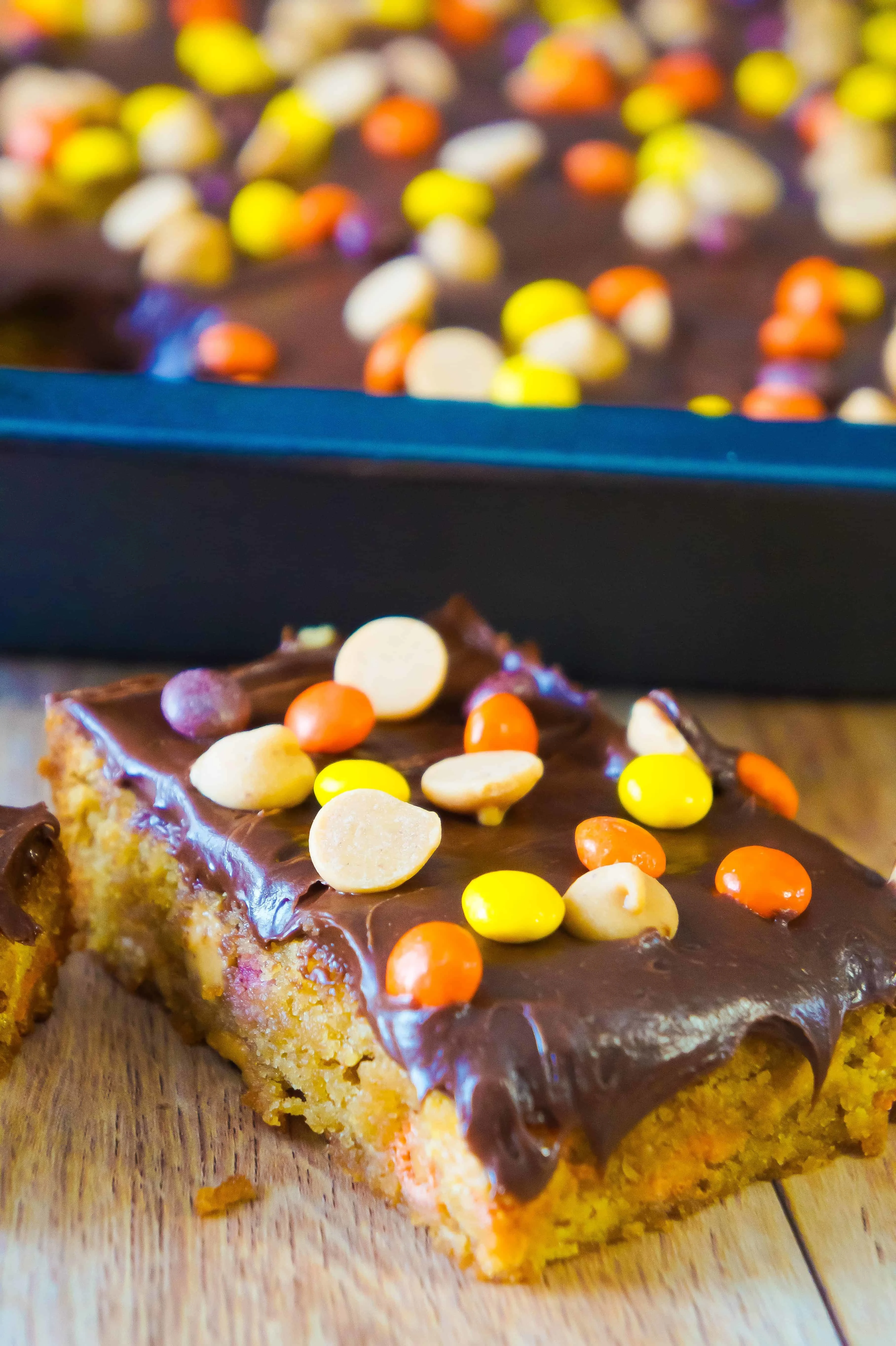 Chocolate Peanut Butter Blondies are an easy dessert recipe loaded with Reese's pieces and topped with chocolate frosting.