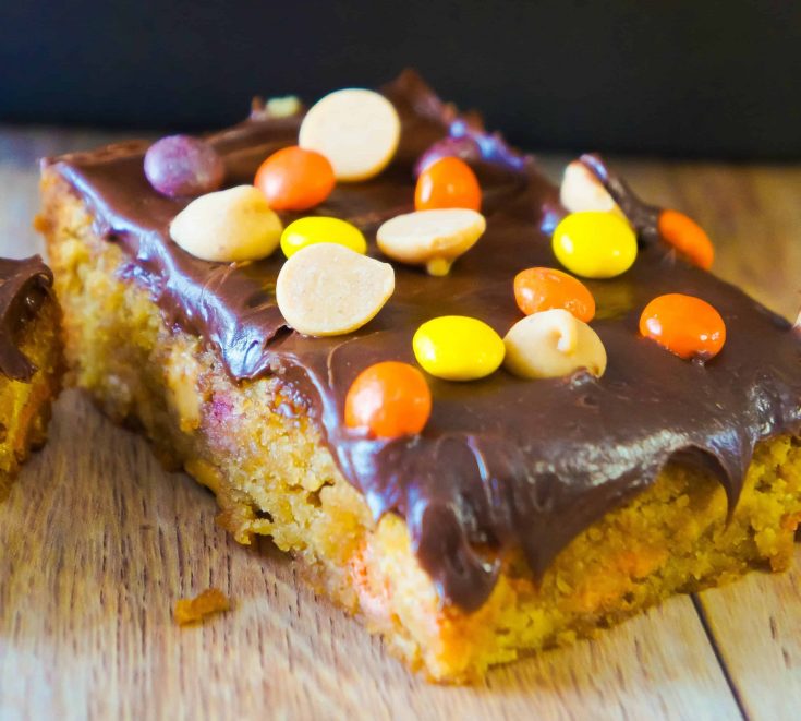Peanut Butter Bars topped with chocolate frosting and mini Reese's Pieces.