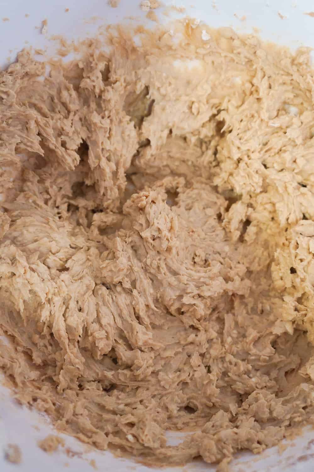 peanut butter oatmeal cookie dough 