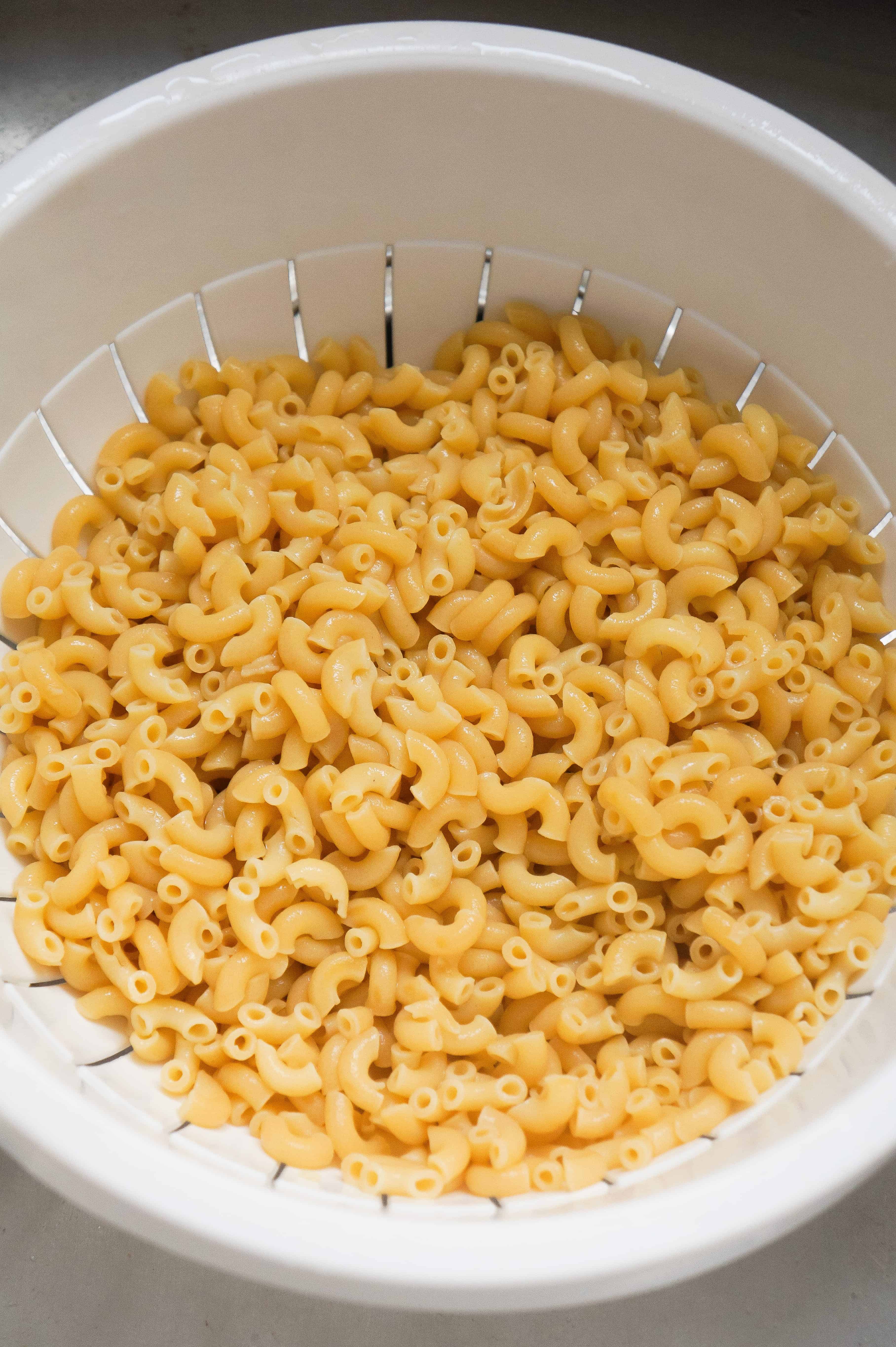 cooked macaroni for pasta salad