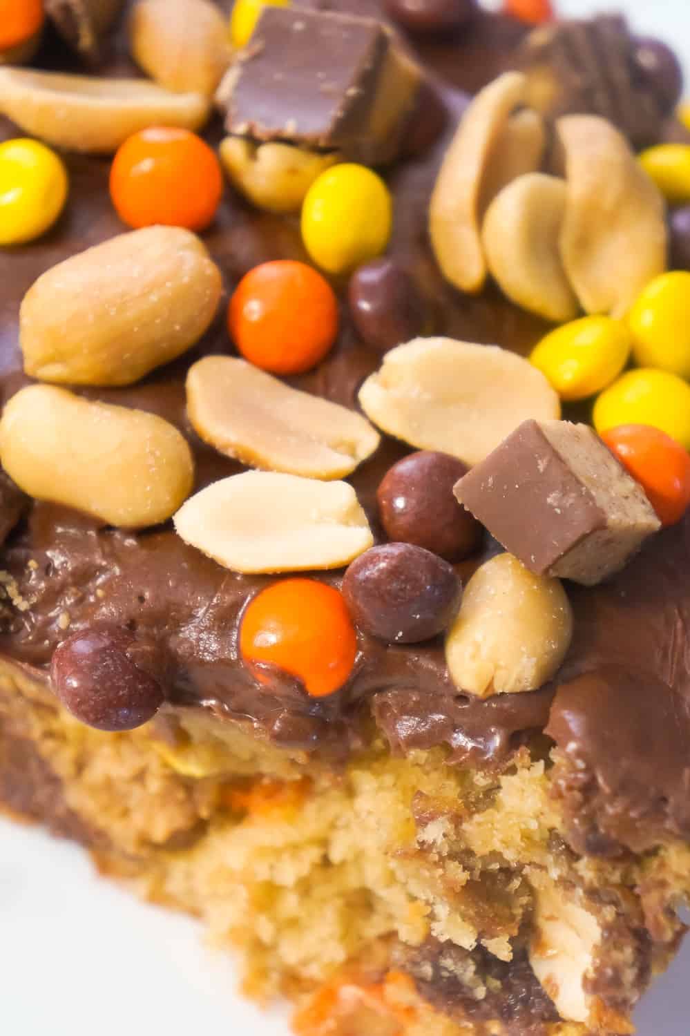 Ultimate Peanut Butter Banana Sheet cake is an easy chocolate peanut butter dessert recipe using boxed cake mix. This delicious cake is topped with chocolate frosting and loaded with peanut butter cups, Reese's Pieces and peanuts.