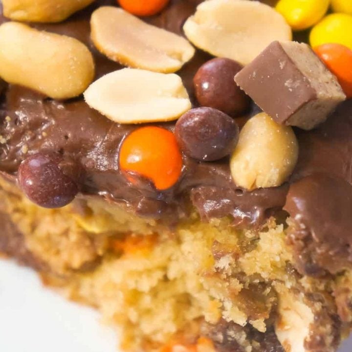 Ultimate Peanut Butter Banana Sheet cake is an easy chocolate peanut butter dessert recipe using boxed cake mix. This delicious cake is topped with chocolate frosting and loaded with peanut butter cups, Reese's Pieces and peanuts.